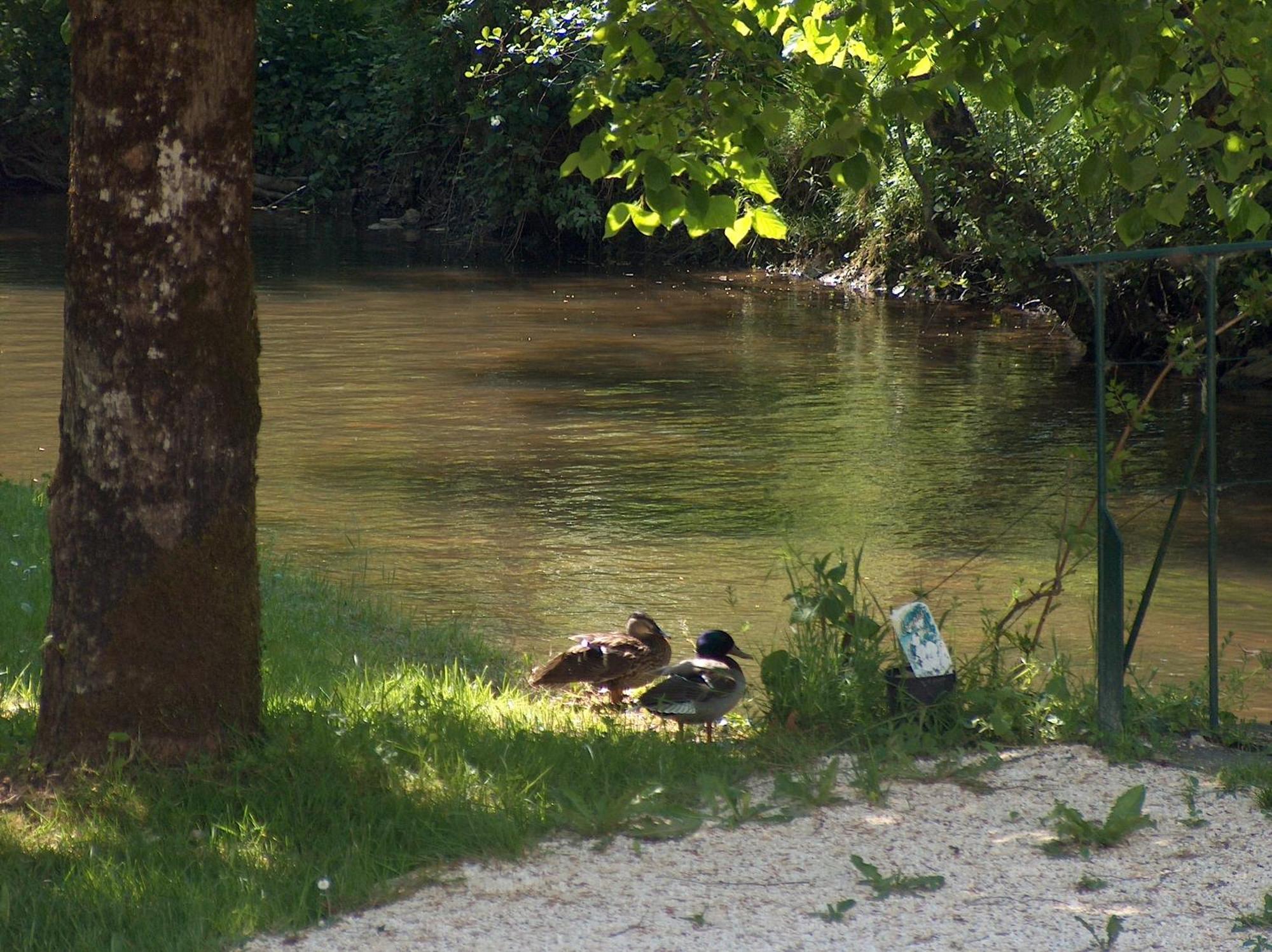 Hotel Moulin De Vigonac Valeuil Esterno foto